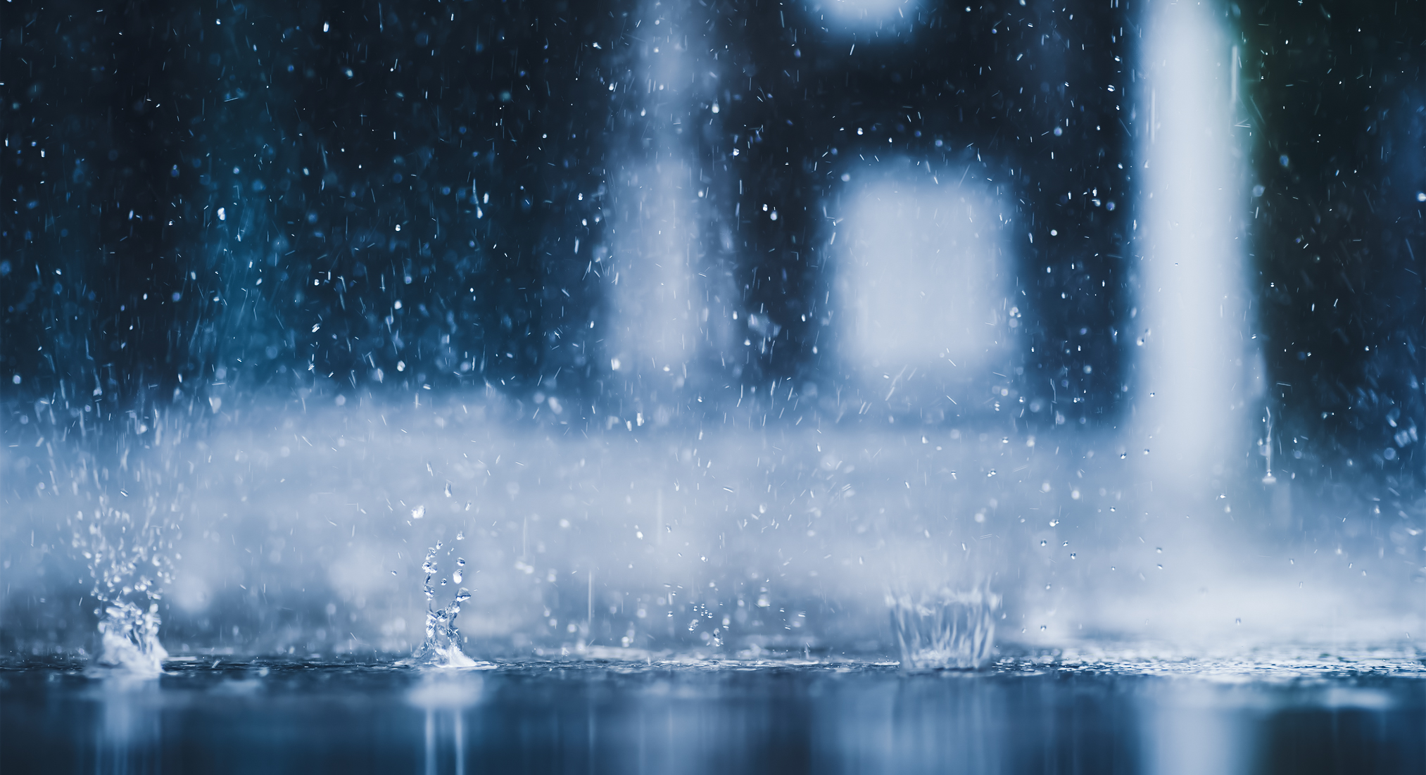 石崎芙美子社会保険労務士事務所